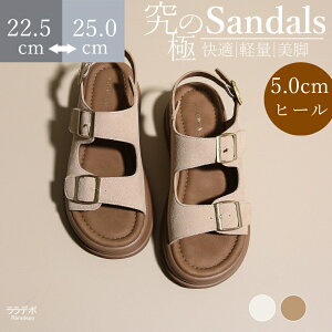 yԌő15%OFFzT_ fB[X T_ 5Z`q[ ₷  킢  V[Y ؂ T_ J[L x[W O~T_ 傫TCY L 