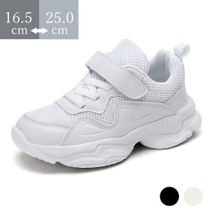 yN[|ōő15%OFFz _XV[Y LbY _X Xj[J[   _XXj[J[ bV [Jbg L b ؍ C q `A_X l _XC Ȃ `AV