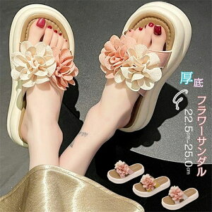 yԌő15%OFFzT_ fB[X t[T_ r[`T_  C Xbp xgT_ fB[XT_ V[Y AEghA T}[T_ q[3CM tbg