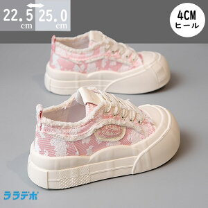 yԌő15%OFFz Xj[J[ `L[ \[ gbN fB[X V[Y _bh C   sN Xb| jO ̈ ₷ W ₷ C\[ 