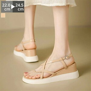 yԌő15%OFFzT_ V[Y fB[X XgbvT_ EGbW\[ [q[ ɂȂ r[`T_ RtH[g [q[ ewO 6Z`  Xgbv _