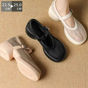 yԌő15%OFFzbV ҂ pvX Xj[J[   y^R Xgbv 6.5Z`q[ V[Y bVf ăR[f r[`T_ Xbp  t C y _