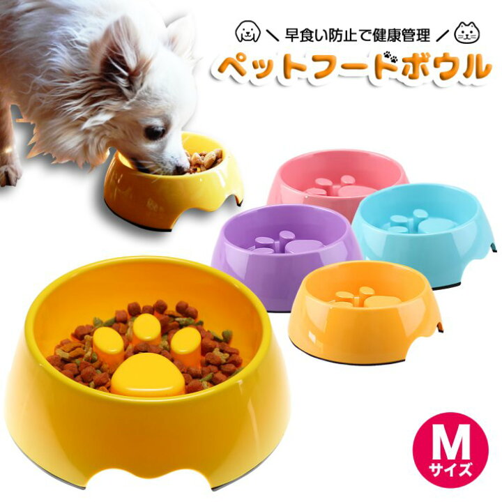 市場 秤量デザイン 犬猫用品 ステンレスの皿 計量可能な早食い防止食器 食品グレード材質 肥満防止 滑り止め 5 傾斜 ペット用 清潔簡単