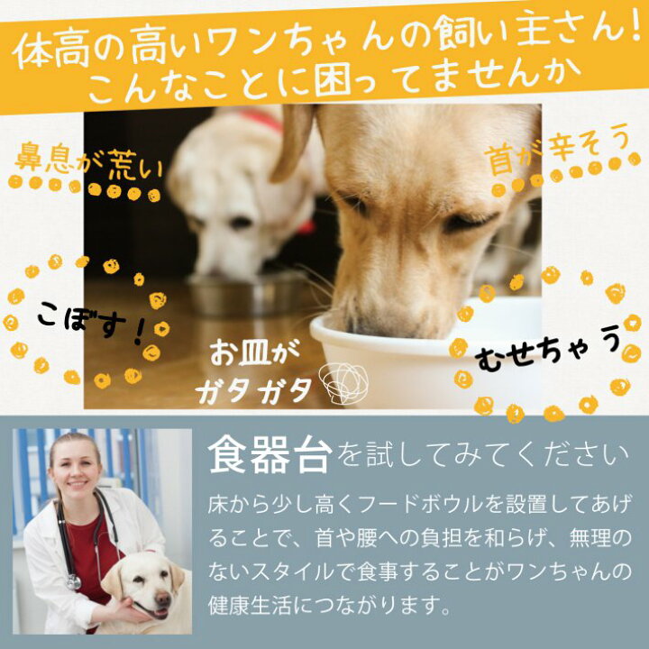楽天市場 大型犬 フードボウル スタンド テーブル 餌入れ いぬ 犬 食器スタンド 北欧 アンティーク ラブラドール ゴールデン レトリーバー ステンレス アイアン 高さ約30cm ブラック 大型犬フードボウルスタンド 雑貨ペットいい物いっぱいraramart