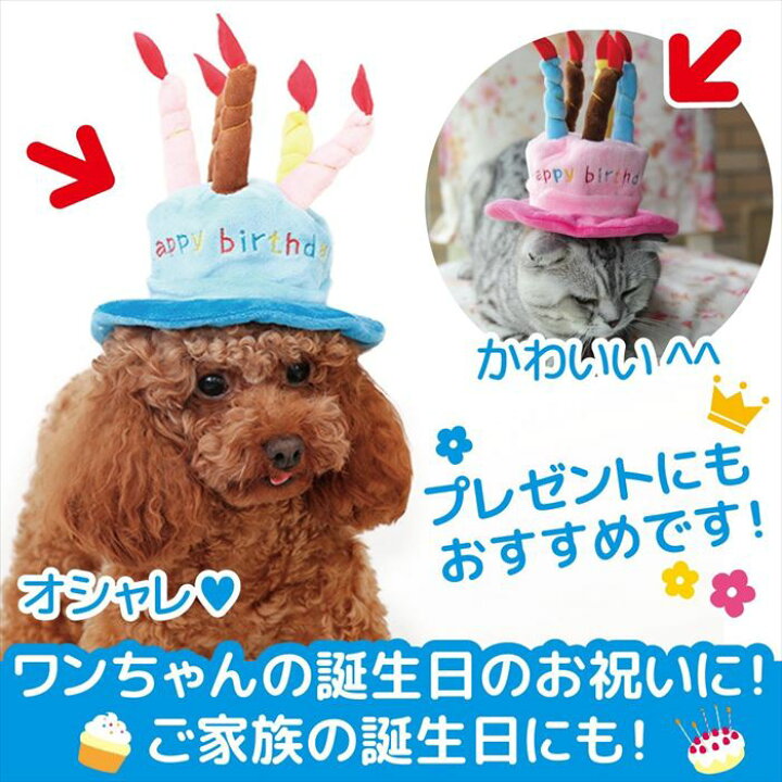 楽天市場 ドッグウェア ハッピーバースデー ケーキ型 ハット コスチューム ろうそく 帽子 犬猫用 ブルー ピンク ドッグウェア ケーキ型 ハット 雑貨ペットいい物いっぱいraramart