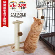 ＼クーポン17日9:59まで／ 猫 爪とぎ ポール ケージ レギュラータイプ 猫 爪研ぎ 猫 ケージ 取り付け ケ…