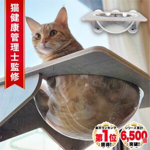 yV LO 1ʁ L  nbN FD xbh Lxbh z t ˂ XPg xbh ͋z ω׏d 20kg    t^Cv 39x39cm XPgnbNV