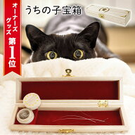 クーポン発行中11日1:59まで｜POOKIE 猫 ひげ ケーズ ペット メモリアルグッズ おしゃれ うちの子宝箱 肉…