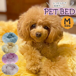 ybg xbh L xbh MTCY a50cm }[u  NbV ܂ xbh ~pxbh ی^ ӂӂ C zCgsN u[O[ CG[uE킢 xbh Lxb