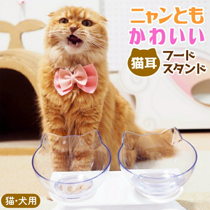 楽天市場 2個セット フードボウル 猫 餌皿 エサ皿 食器 犬 小型犬 にも フードボールスタンド 食べやすい 傾斜 餌 エサ 餌入れ エサ入れ エサいれ 皿 お皿 ペット 猫用 犬用 おしゃれ 送料無料 猫耳フードスタンド 雑貨ペットいい物いっぱいraramart