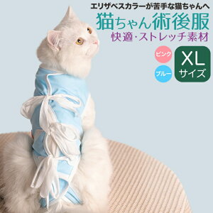 yxΏہzybg L p㕞 p Dp ̕ی 畆̕ی XLTCY 30cm sN u[/cha_XL p㕞