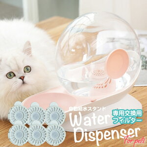 yptB^[zX^hp tB^[ ̂݁ ybg  ptB^[6/ptB^[