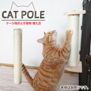 猫 ケージ 中 猫用おもちゃの人気商品 通販 価格比較 価格 Com