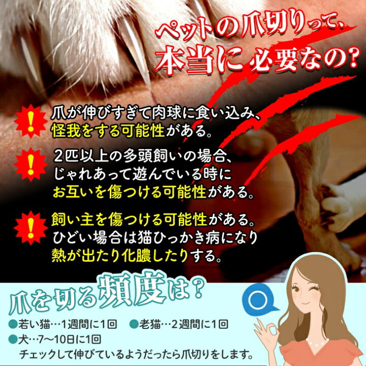 楽天市場 ペット 犬 猫 爪切り ネイルックカッター Ledライト 飛び散りガード ヤスリ 付き 軽量 爪 お手入れ ブルー ピンク ネイルックカッター 雑貨ペットいい物いっぱいraramart 楽天市場 ペット 犬 猫 爪切り ネイルックカッター Ledライト 飛び散りガード ヤスリ 付き 軽量 爪 お手入れ ブルー ピンク ネイルックカッター 雑貨ペットいい物いっぱいraramart