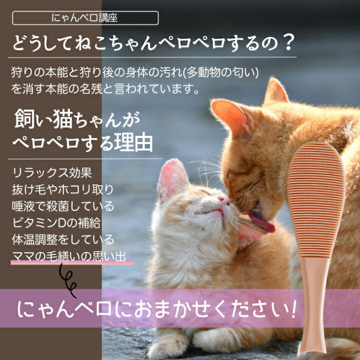 楽天市場 猫 くし 猫ベロ お手入れ にゃんベロ ブラシ マッサージ 毛繕い グルーミング ペット お魚型 犬 猫 ブルー ピンク お魚型 猫ブラシ 雑貨ペットいい物いっぱいraramart