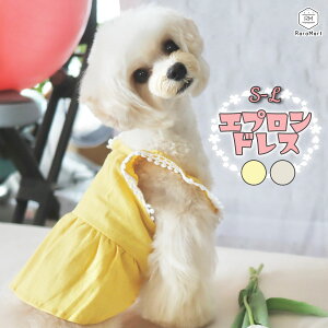 yxΏہz  s[X t t   s[X ₷ ̕  Gv hX ybg hbOEFA ^ ` gCv[h CG[ x[W/cha_yb