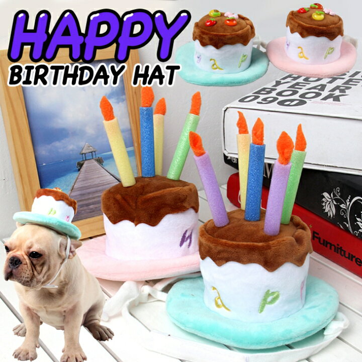 楽天市場 ペット バースディ 帽子 ハッピーバースデー ケーキ型 ろうそく ハット コスチューム ろうそく 帽子 犬 猫 ブルー ピンク Sサイズ Lサイズ ペットバースディ帽子 雑貨ペットいい物いっぱいraramart 楽天市場 ペット バースディ 帽子 ハッピーバースデー ケーキ型 ろうそく ハット コスチューム ろうそく 帽子 犬 猫 ブルー ピンク Sサイズ Lサイズ ペットバースディ帽子 雑貨ペットいい物いっぱいraramart