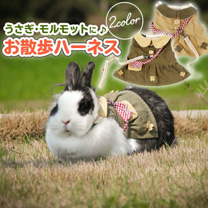 Lサイズ グレー チェック ウサギ 小動物 ハーネス リード 通販 Lサイズ ペット 小動物 うさぎ モルモット フェレット ハーネス リード 胴輪
