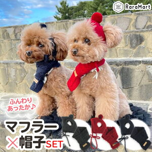 ybg   }t[ Xq Zbg  L ~ g ybgEFA jbgX hbO EFA ybgANZT[ NX}X av[g O[ bh lCr[ STCY MTCY/