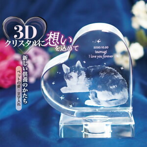 ybg A ObY 3D NX^ tHg ̎ʐ^ ʐ^  Cgt USB[d ʔv Ւd ̋|XgJ[ht ybg {  L nX^[ /A3Dn[gN