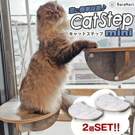 猫 吸盤 ミニ キャットステップ 2個セット 強力吸盤 耐荷重 20kg 猫ベッド 窓 ステップ 本体サイズ 19x27cm スケルトンハンモックシリーズ /2個セット ミニ吸盤キャットステップ