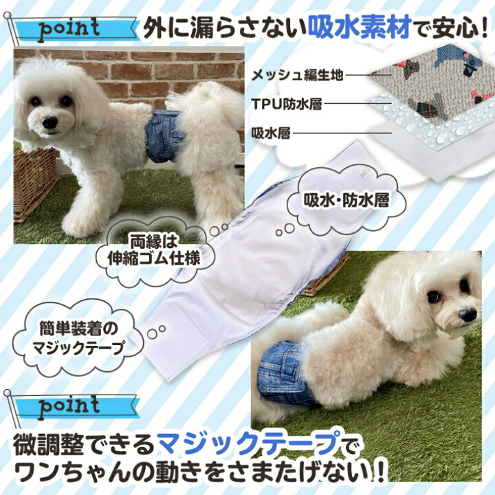 楽天市場】クーポン配布中26日1:59まで|犬 マナーベルト 男の子 ペット 