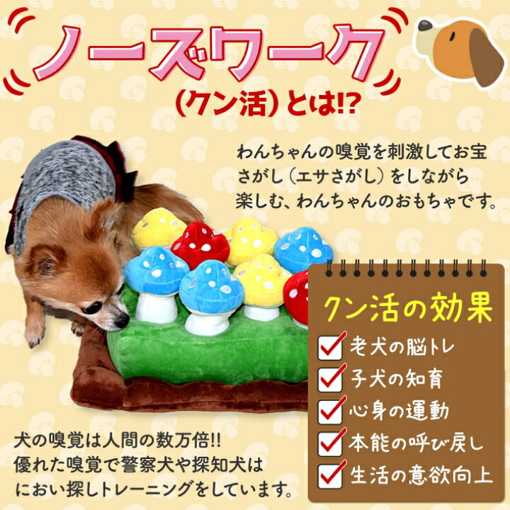 楽天市場 Pookie ペット 犬 おもちゃ ノーズワークマット きのこ 37x32x8cm 物干しネット付き クン活 知育玩具 知育おもちゃ 嗅覚訓練 おやつ探し ストレス解消 運動不足 ノーズワーク キノコ 雑貨ペットいい物いっぱいraramart
