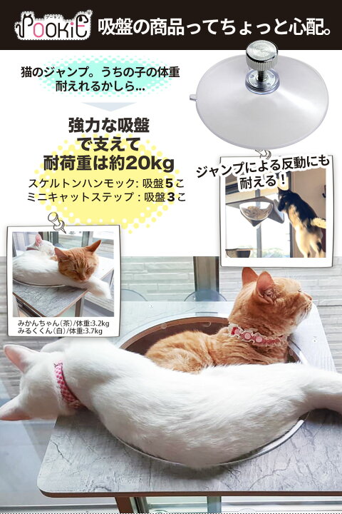 クーポン17日9:59まで／ 猫 ハンモック 窓 ベッド ハンモック 吸盤 猫 