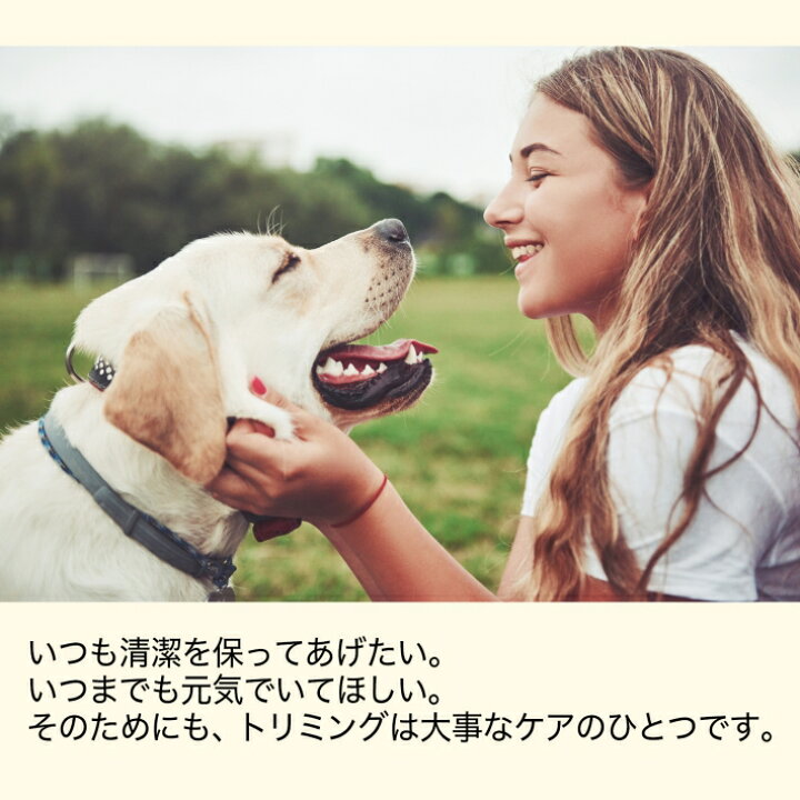 楽天市場 バリカン 犬用 犬 猫 送料無料 ウサギ ペット用 足裏 顔 コードレス 初心者 プロ用 トリミング セラミックチタン刃 33枚刃 水洗い可能 ピンク ゴールド 猫用 トイプードル プロ仕様 アタッチメント 静音軽量 Pse 節約 ペット用バリカン33枚刃 雑貨ペットいい 楽天市場 バリカン 犬用 犬 猫 送料無料 ウサギ ペット用 足裏 顔 コードレス 初心者 プロ用 トリミング セラミックチタン刃 33枚刃 水洗い可能 ピンク ゴールド 猫用 トイプードル プロ仕様 アタッチメント 静音軽量 Pse 節約 ペット用バリカン33枚刃 雑貨ペットいい
