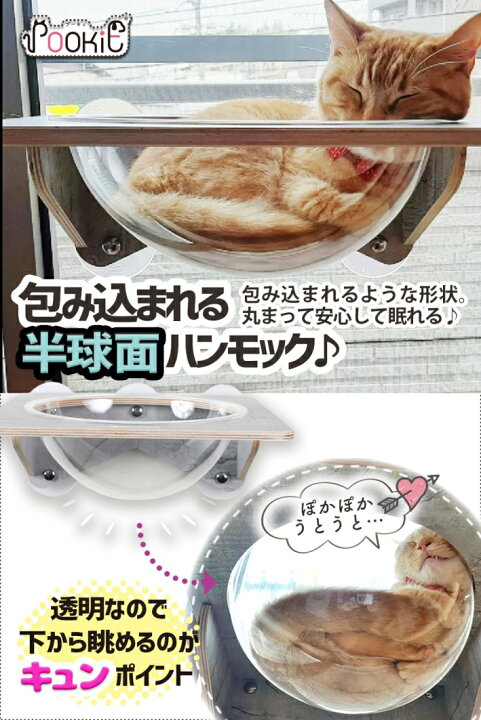 楽天市場 猫 吸盤 キャットステップ スケルトンハンモック セット 強力吸盤 耐荷重 kg 15kg 猫ベッド 窓 壁 取り付けタイプ スケルトン ハンモックシリーズ ステップ付き吸盤スケルトンハンモック 雑貨ペットいい物いっぱいraramart
