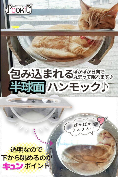 楽天市場】＼特別価格10日1:59まで／ 猫 ハンモック 窓 ベッド 3点 