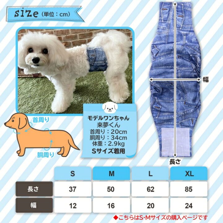 楽天市場】クーポン配布中26日1:59まで|犬 マナーベルト 男の子 ペット 