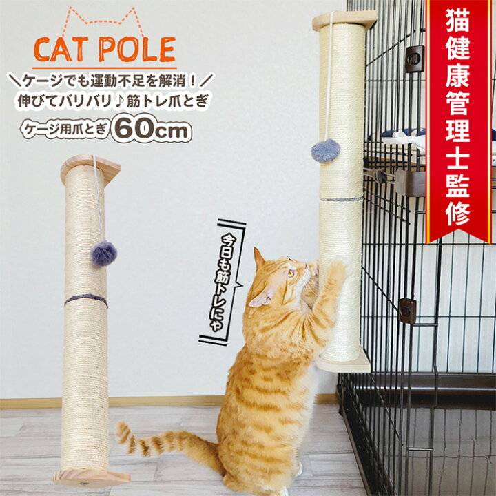 楽天市場】【支援募金対象】POOKIE 猫 爪とぎ ケージ用 ポール ロング 