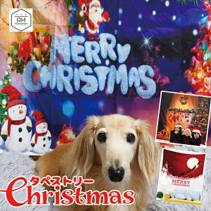 ybg NX}X wiz ^yXg[  L ʐ^Be 150x130cm 90x73cm NX}Xc[ giJC Ⴞ T^N[X Xmas ybgp lԗp Ƒ NX}X p[eB ~ CeA z