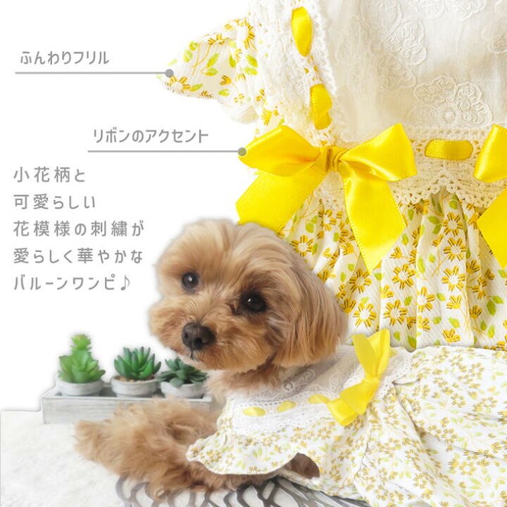 楽天市場】犬 服 春夏 ワンピース 切り替えバルーンワンピ 犬服 