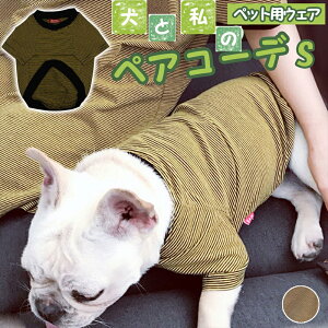   ybgƂI ybg yAbN  TVc O yybgpz CG[ u[ bh S M L XL/ybgyAOyBzybgp