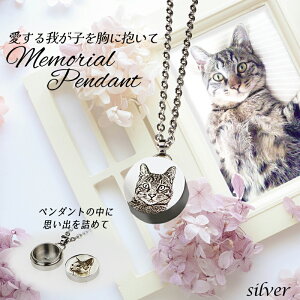 ybg A ObY ʐ^ lbNX y_g ̋|XgJ[ht S[h Vo[ A    ⍜ { y_g  L  nX^[ /Ay