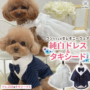 ybg  hX ^LV[h tH[}Zbg EFfBO hX  p[eB ybg  ^ tďH~ XS`L zCg Zj[EFA tH[}EFA/ybg^LV[h&