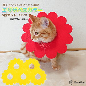 GUxXJ[ y5Zbgzybg L  \tg _炩 y tFg GJ p̕Ki ̕ی XgXy GUxX J[ ybgpi ی XS S M L bh sN CG