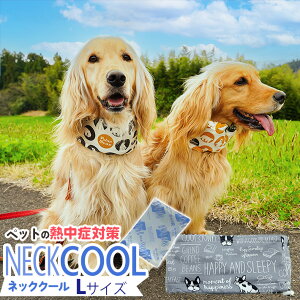  N[ lbN ^ lbNN[[ ^I o_i ybgpi ^ ^ U MǑ΍ ObY {ۗܕt  Rbg hz    L 킢 zCg C