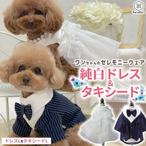 ybg  ^LV[h hX ^LV[h tH[}Zbg EFfBO hX  p[eB ybg  ^ tďH~ XS`L zCg Zj[EFA tH[}EFA/yb