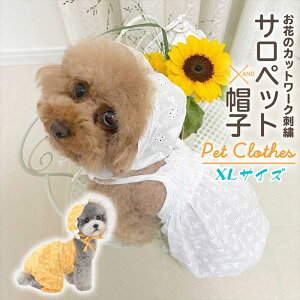 �_P5�{ 26��1:59�܂Ł^ �y�b�g �� �� �L �ĕ� �T�}�[ �T���y�b�g �X�q�Z�b�g ���� ���킢�� ������� �y�b�g �E�F�A �����s�[�Y �t���� �J�o�[�I�[�� �K�[���[ �R�b�g�� �u���[ �z���C�g �C�G��