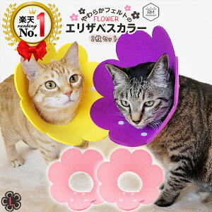 GUxXJ[ L \tg y2Zbgz GUxXJ[  _炩 tFg t[ GJ y ̕ی XgXy J[ S M L IW bh Cgu[ CG[ sN