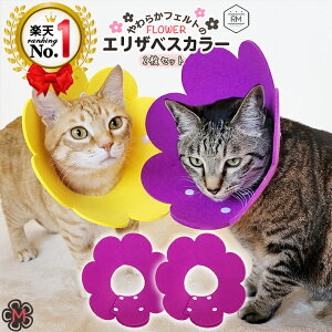 yxΏہzyV LO 1ʁ GUxXJ[ y2Zbgz ybg L  \tg _炩 tFg t[ GJ y ̕ی XgXy J[ S M L IW b