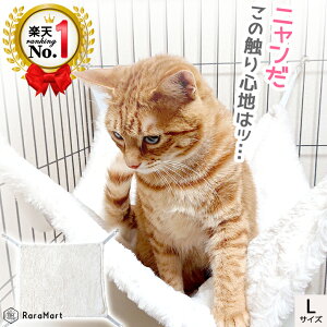 L nbN P[Wp nbN ~p ~ ybgxbh 􂦂 LbgnbN LObY {A   tFbg o[Vu I[V[Y tbNt MTCY LTCY ω