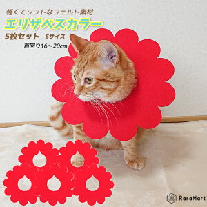 y15%OFF 111:59܂Łz GUxXJ[ y5Zbgzybg L  \tg _炩 y tFg GJ p̕Ki ̕ی XgXy GUxX J[ ybgpi ی XS S M