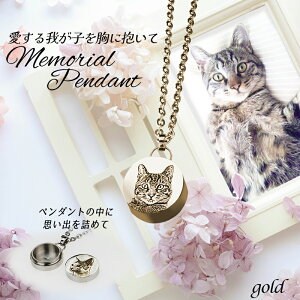 ybg A ObY ʐ^ lbNX y_g ̋|XgJ[ht S[h Vo[ A    ⍜ { y_g  L  nX^[ /Ay