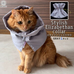 GUxXJ[ L  \tg GJ X^CbV GUxXJ[ O _炩 y   L Dp p ̕ی rߖh~ XgXy  킢 M L O