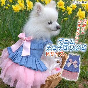   L  t  s[X fj `` XJ[g { ₷ EȒP y ĕ  L U 炩 킢  ybg CG[ sN zCg S M L/fj 