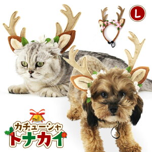  L ybgp J`[V giJC NX}X 蕨 ybg RX`[  Xq  wAoh pi RXv  킢  wAANZT[ S M L/ybg g